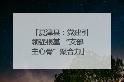 夏津县：党建引领强根基 “支部主心骨”聚合力