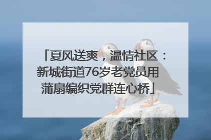 夏风送爽，温情社区：新城街道76岁老党员用蒲扇编织党群连心桥