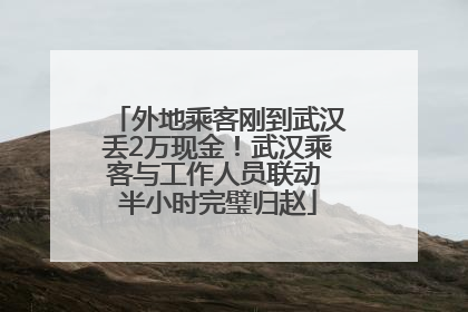 外地乘客刚到武汉丢2万现金！武汉乘客与工作人员联动 半小时完璧归赵