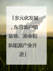 多元化发展，东营新户镇盐场、渔业和新能源产业并进