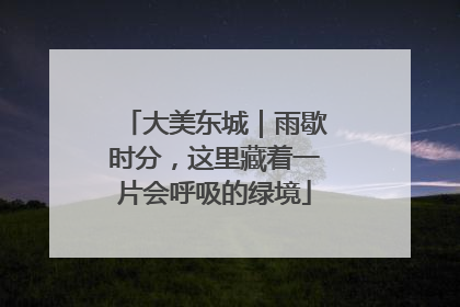 大美东城｜雨歇时分，这里藏着一片会呼吸的绿境