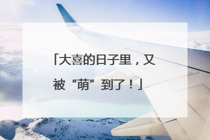 大喜的日子里，又被“萌”到了！