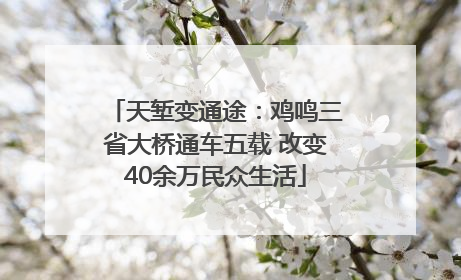 天堑变通途：鸡鸣三省大桥通车五载 改变40余万民众生活