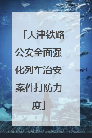 天津铁路公安全面强化列车治安案件打防力度