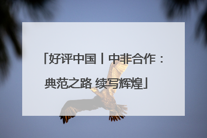 好评中国丨中非合作：典范之路 续写辉煌