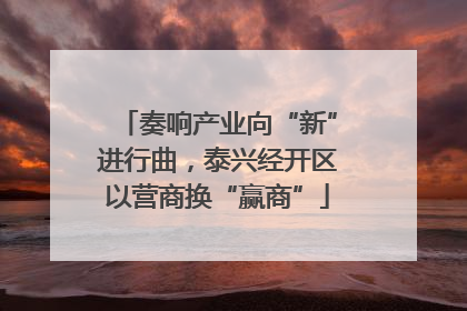 奏响产业向“新”进行曲，泰兴经开区以营商换“赢商”