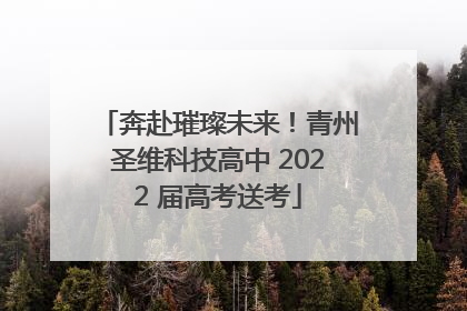 奔赴璀璨未来！青州圣维科技高中 2022 届高考送考