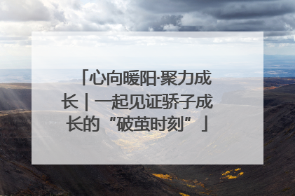 心向暖阳·聚力成长｜一起见证骄子成长的“破茧时刻”