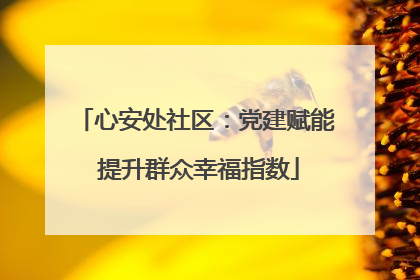 心安处社区：党建赋能 提升群众幸福指数