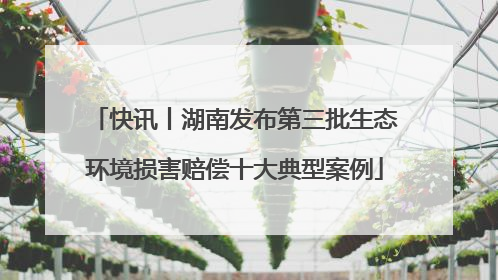 快讯丨湖南发布第三批生态环境损害赔偿十大典型案例