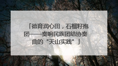 德育润心田，石榴籽抱团——奏响民族团结协奏曲的“天山实践”