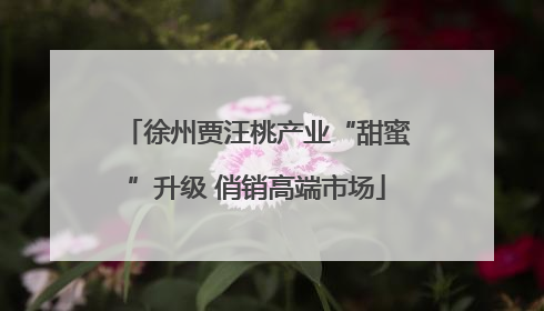 徐州贾汪桃产业“甜蜜”升级 俏销高端市场