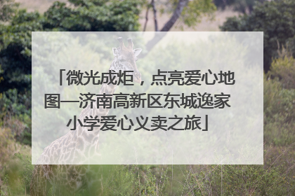 微光成炬，点亮爱心地图—济南高新区东城逸家小学爱心义卖之旅