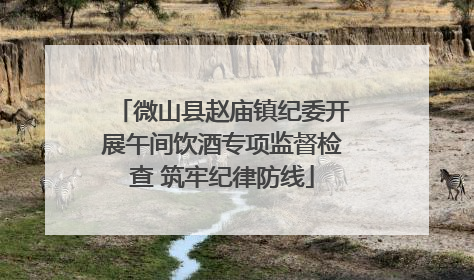微山县赵庙镇纪委开展午间饮酒专项监督检查 筑牢纪律防线