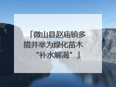 微山县赵庙镇多措并举为绿化苗木“补水解渴”