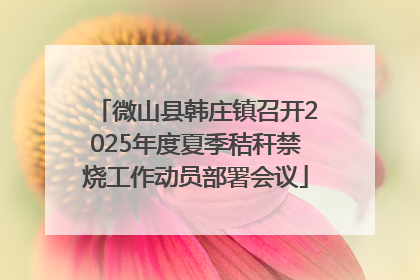 微山县韩庄镇召开2025年度夏季秸秆禁烧工作动员部署会议