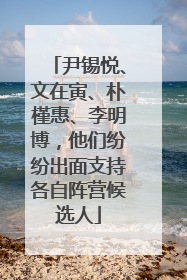 尹锡悦、文在寅、朴槿惠、李明博，他们纷纷出面支持各自阵营候选人