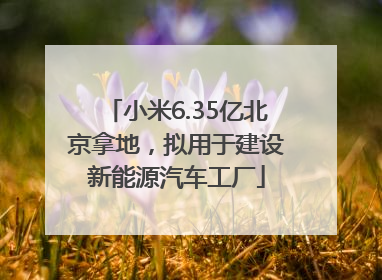 小米6.35亿北京拿地，拟用于建设新能源汽车工厂