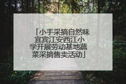 小手采摘自然味 宜宾江安西江小学开展劳动基地蔬菜采摘售卖活动