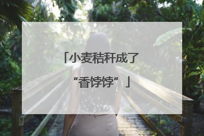 小麦秸秆成了“香饽饽”