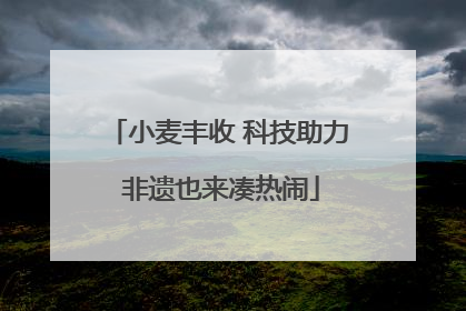 小麦丰收 科技助力 非遗也来凑热闹