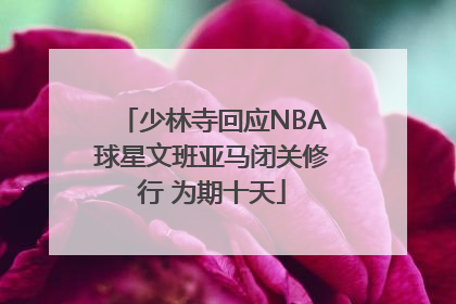 少林寺回应NBA球星文班亚马闭关修行 为期十天