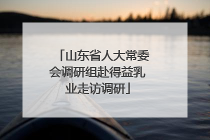 山东省人大常委会调研组赴得益乳业走访调研