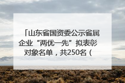 山东省国资委公示省属企业“两优一先”拟表彰对象名单，共250名（个）党员和党组织
