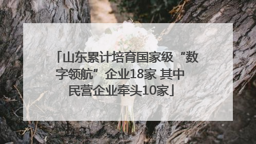 山东累计培育国家级“数字领航”企业18家 其中民营企业牵头10家