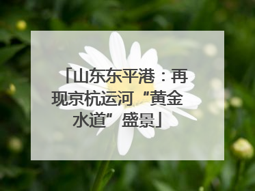 山东东平港：再现京杭运河“黄金水道”盛景