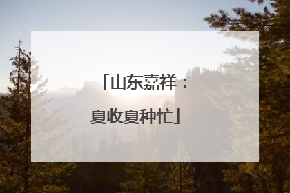 山东嘉祥：夏收夏种忙