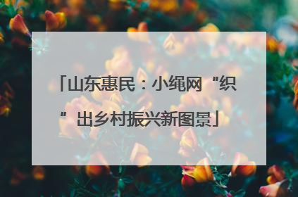 山东惠民：小绳网“织”出乡村振兴新图景