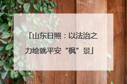 山东日照：以法治之力绘就平安“枫”景
