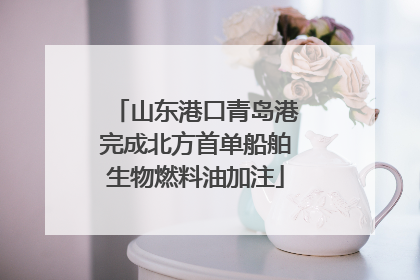 山东港口青岛港完成北方首单船舶生物燃料油加注