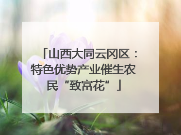 山西大同云冈区：特色优势产业催生农民“致富花”
