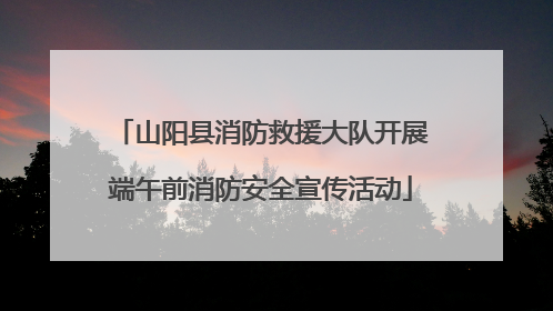 山阳县消防救援大队开展端午前消防安全宣传活动