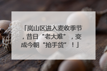 岚山区进入麦收季节，昔日“老大难”，变成今朝“抢手货”！