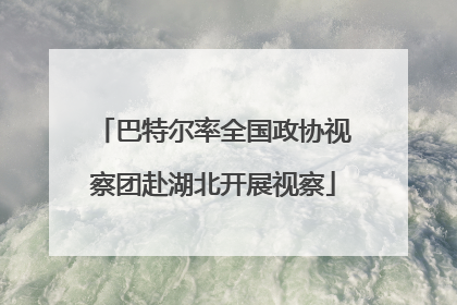 巴特尔率全国政协视察团赴湖北开展视察