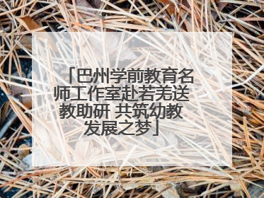 巴州学前教育名师工作室赴若羌送教助研 共筑幼教发展之梦