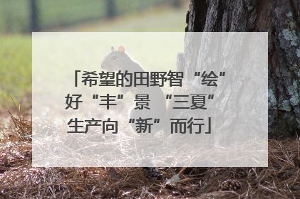希望的田野智“绘”好“丰”景 “三夏”生产向“新”而行