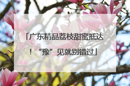 广东精品荔枝甜蜜抵达！“豫”见就别错过