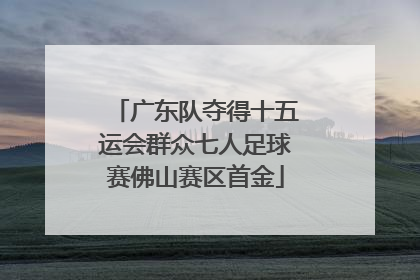 广东队夺得十五运会群众七人足球赛佛山赛区首金