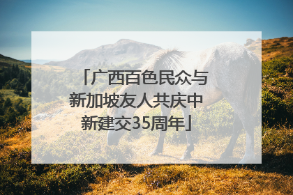 广西百色民众与新加坡友人共庆中新建交35周年