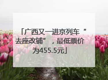 广西又一进京列车“去座改铺”，最低票价为455.5元