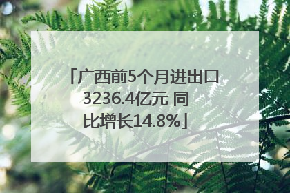 广西前5个月进出口3236.4亿元 同比增长14.8%