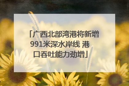 广西北部湾港将新增991米深水岸线 港口吞吐能力劲增