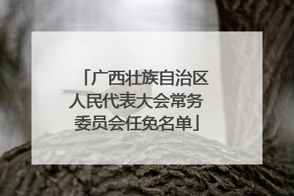 广西壮族自治区人民代表大会常务委员会任免名单