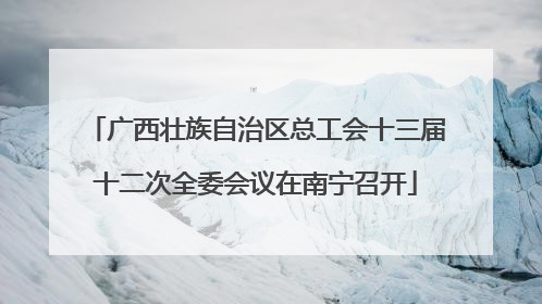 广西壮族自治区总工会十三届十二次全委会议在南宁召开
