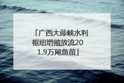广西大藤峡水利枢纽增殖放流201.9万尾鱼苗
