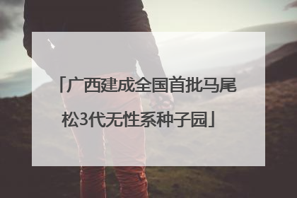 广西建成全国首批马尾松3代无性系种子园